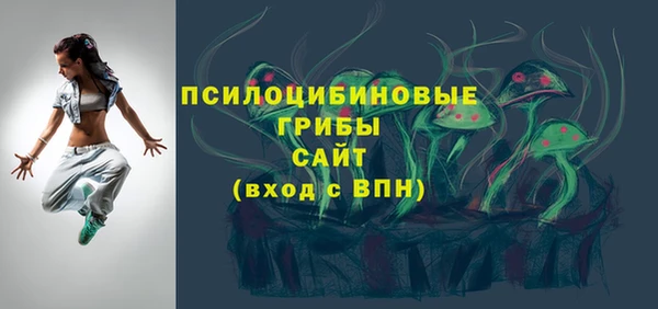 хмурый Медногорск