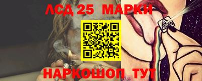 Альфа ПВП Донецк