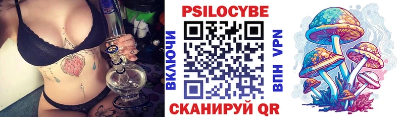 кракен зеркало даркнет сайт Калининград Галлюциногенные грибы Psilocybine cubensis