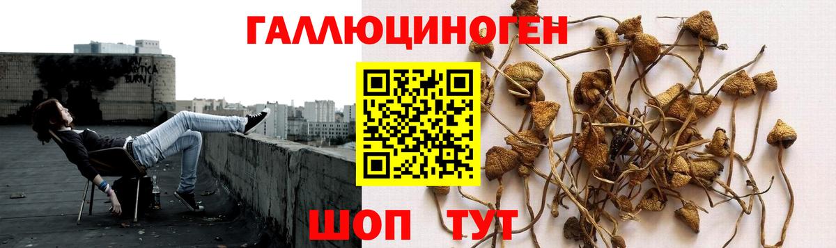 Галлюциногенные грибы Magic Shrooms Калининград