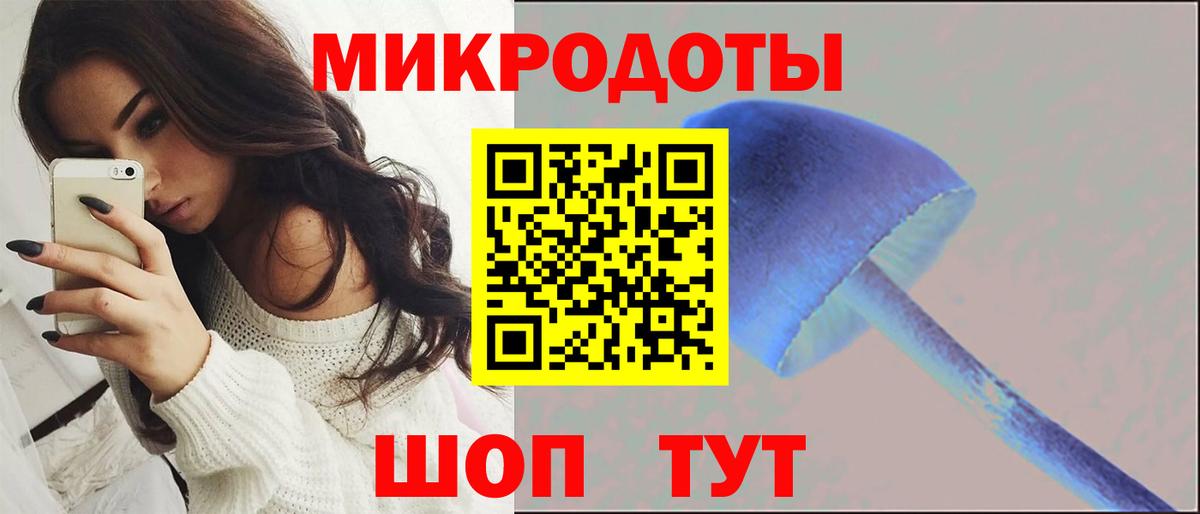 Галлюциногенные грибы мухоморы Калининград