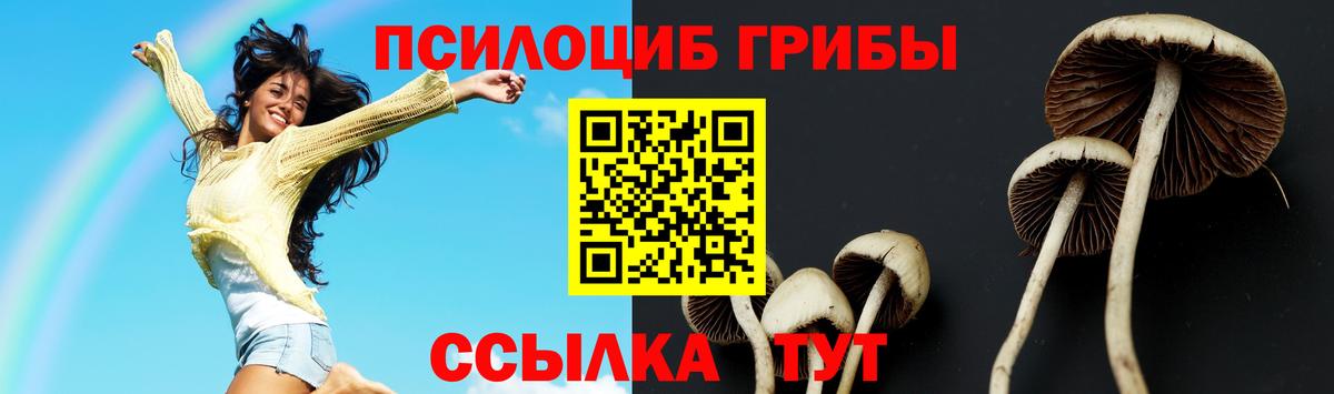 Псилоцибиновые грибы прущие грибы  как найти   Вход с VPN  Калининград  Псилоцибиновые грибы MAGIC MUSHROOMS 